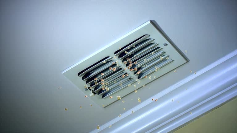 Best Residential Air Duct Cleaning  in Lmer Heights, PA